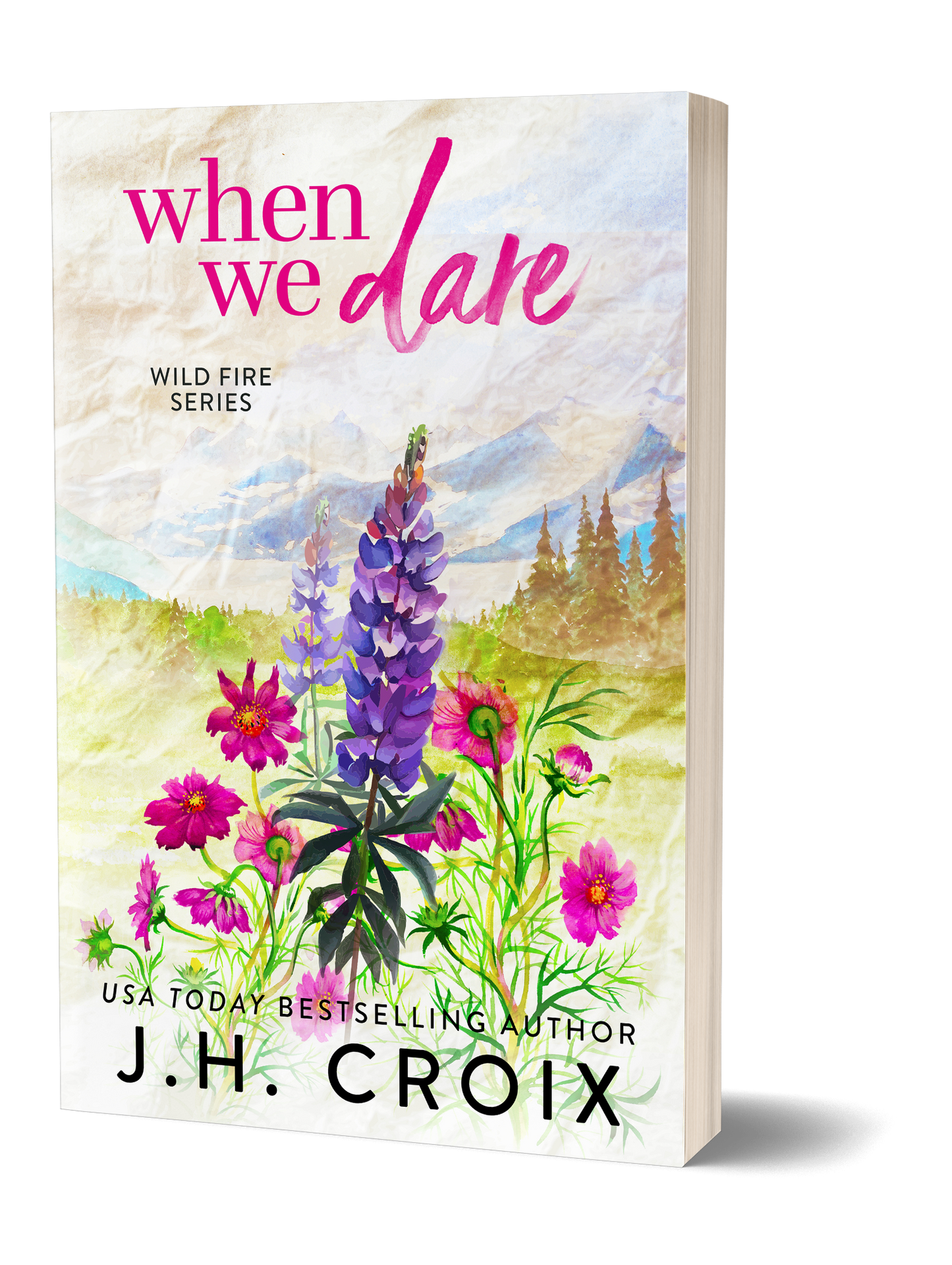 When We Dare (Wild Fire Series Book 2): Small town, grumpy brother's best friend, firefighter romance