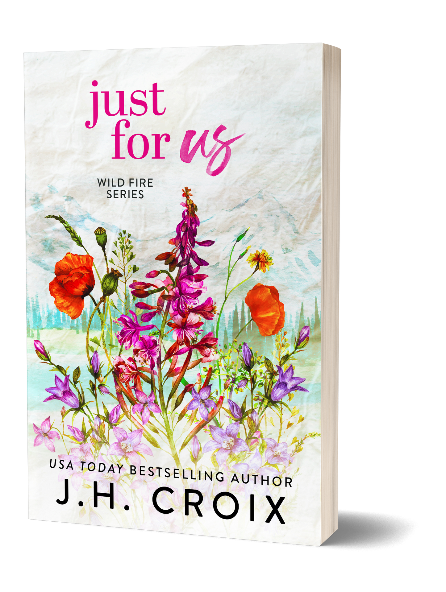 Just For Us (Wild Fire Series Book 5): small town, firefighter romance (Paperback)